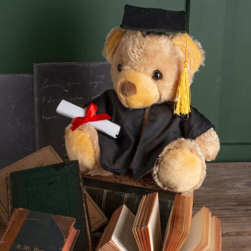 Graduation bear Thumbnail