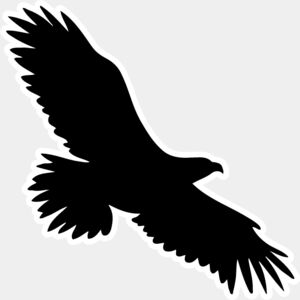 Eaglesilhouette Thumbnail