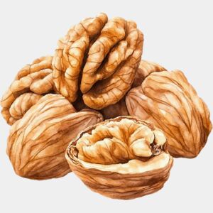 walnuts Thumbnail